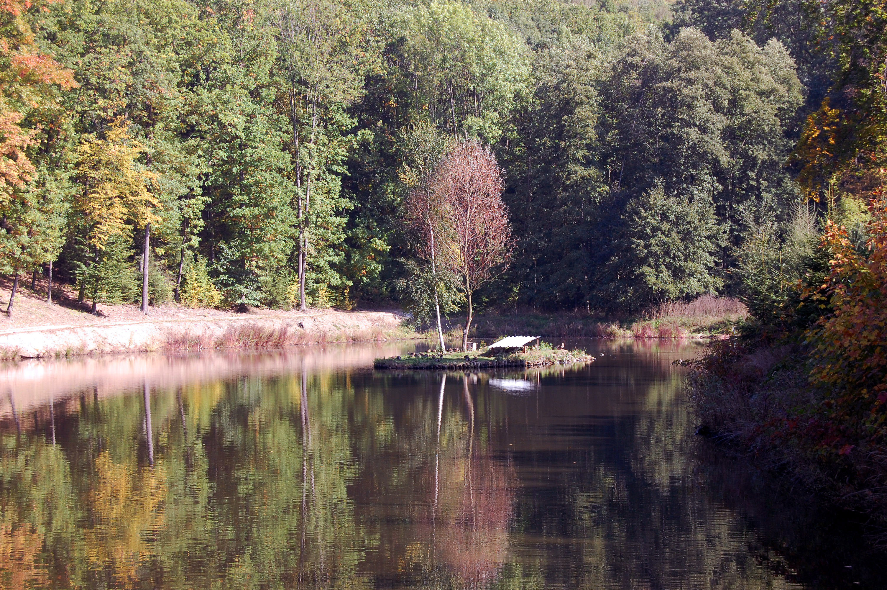 Škaredá 1